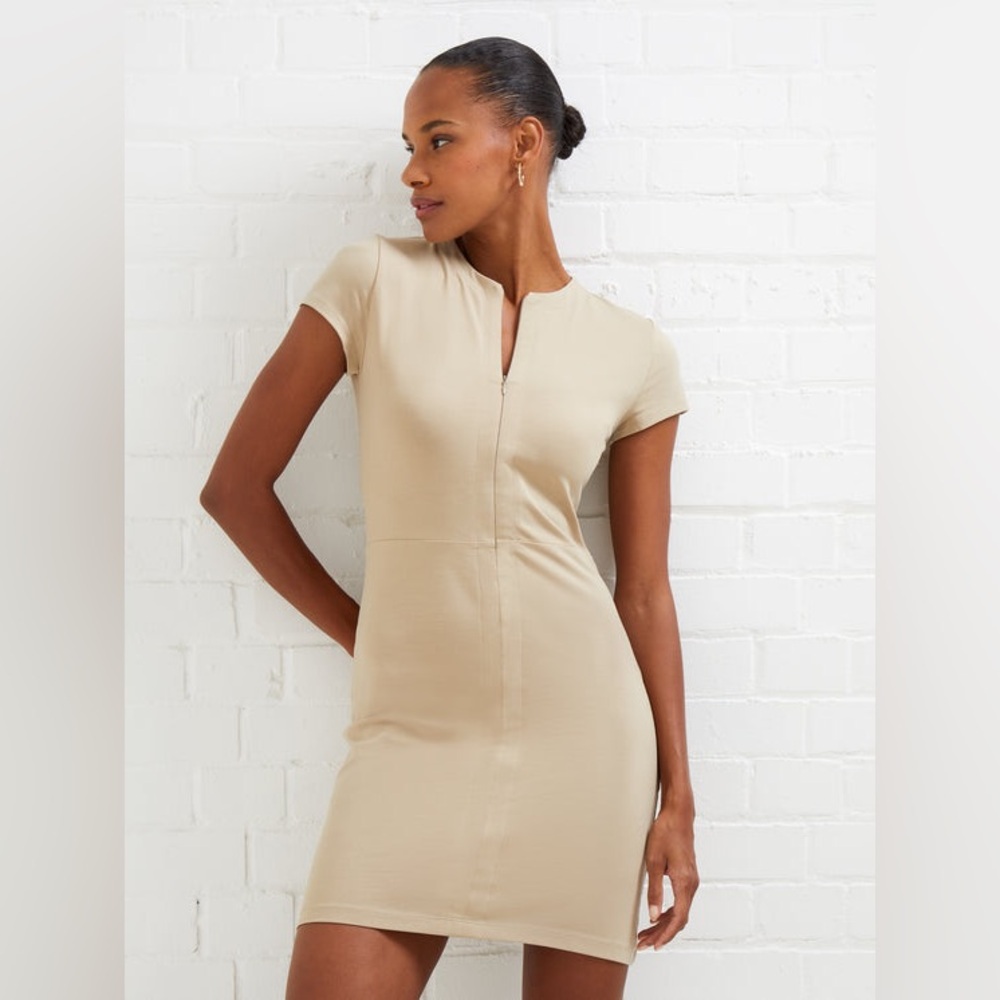 French Connection Rallie Cotton Mini Dress